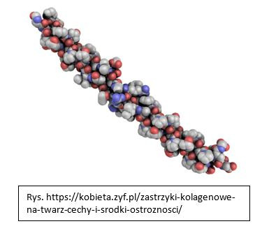 Struktura kolagenu